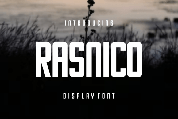 Rasnico: A Bold Display Font for Branding and More